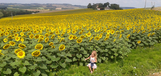 wandelen